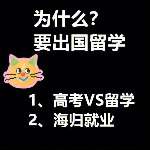 为什么留学人不愿回国-不出国的理由？