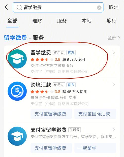 为什么留学生能用google-英国留学如何用手机支付？